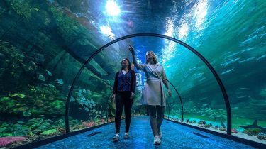 dct_alqana_national_aquarium_ad-scaled