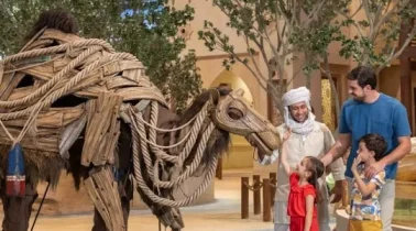 qawdaa-camel-square